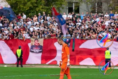 Virgil van Dijk stars as Netherlands draw 2-2 with Japan