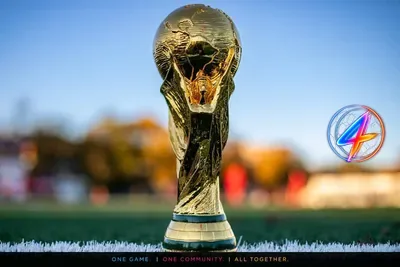 World Cup fallout fuels Dutch coach hunt and German options