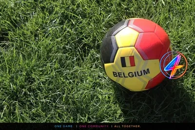 Belgian fans open apology site after Rudi Garcia’s near‑miss vs Senegal
