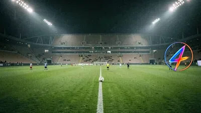 Olise's assist surge eclipses Pelé's World Cup record