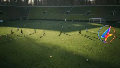 Spygate repercussions: Southampton Eckert faces FA misconduct hearing