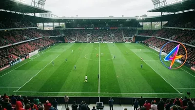 French‑speaking Zenden joins Van Bommel’s staff at belgium’s red devils