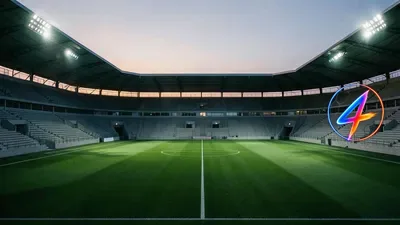 Newcastle fans dazzled by Steur debut, shouting 'Zie Guimarães'