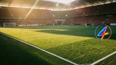 Stade Rennais clinches €2.5m loan for Cresswell, seventh signing