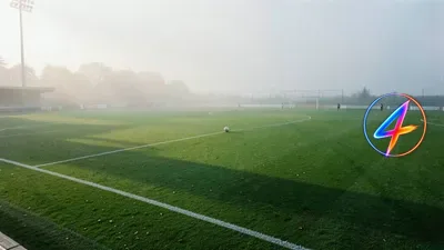 Steijn's resolve after a roller‑coaster debut season at Feyenoord