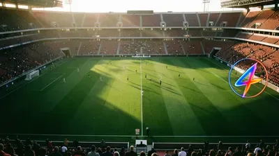 FC Bayern faces loss as João Palhinha heads to Benfica
