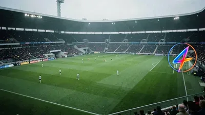 Peta's legal strike over police horse deployment in Mannheim derby