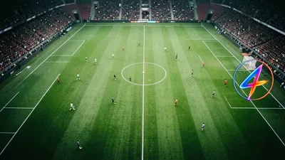 Feyenoord bans its own fans for two away games after fireworks chaos